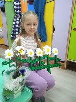 В группе "Василёк" прошла экологическая акция "Подари цветок детскому саду" В группе "Василёк" прошла экологическая акция "Подари цветок детскому саду".